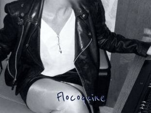 Flocoquine