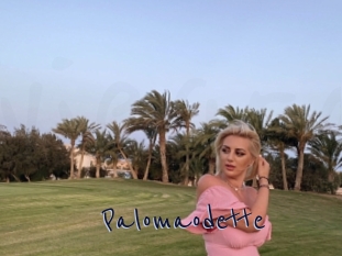 Palomaodette